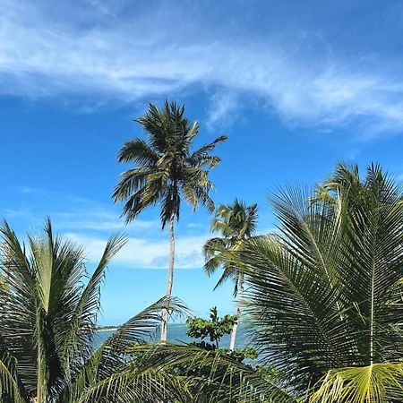 Suites Ventos E Velas Praia Porto de Pedras Luaran gambar